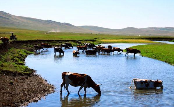 内蒙古，千里草原的壮美与豪情万丈的塞外风光