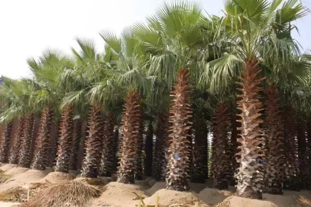 海南盛会，尊敬的领导与朋友们共聚一堂