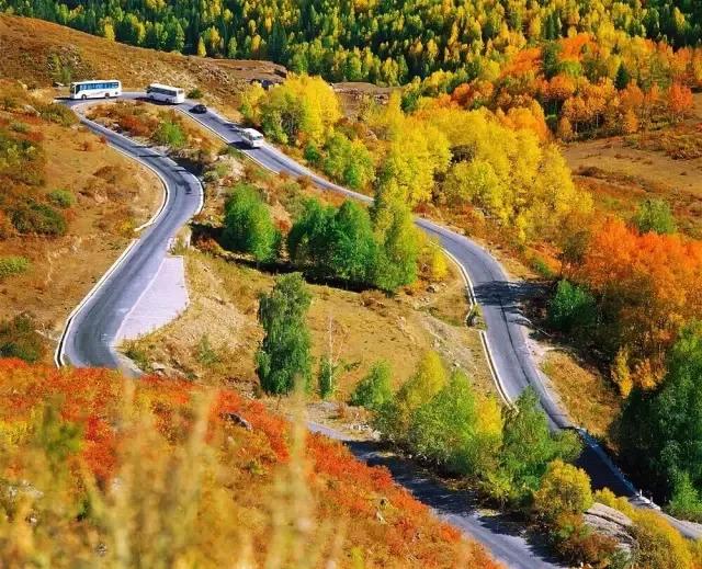 丝路秘境探奇,新疆之旅,邂逅丝路风情