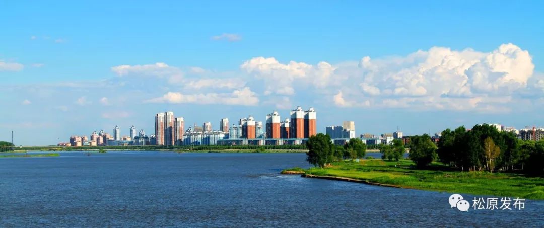 松原巷弄深处的独特风味探索